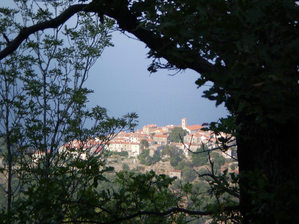 Rooms Mario Cres Εξωτερικό φωτογραφία